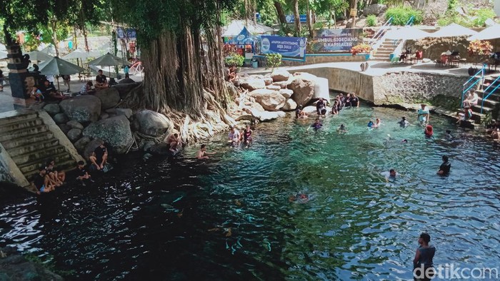 Segarnya Umbul Sigedang-Kapilaler, Kolam Alami di Bawah Beringin Raksasa