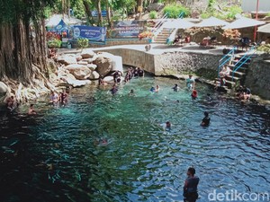 Segarnya Umbul Sigedang-Kapilaler, Kolam Alami di Bawah Beringin Raksasa