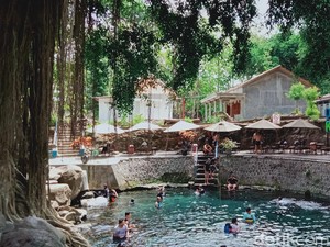 Cuma di Klaten, Ada Kolam Segar Alami di Bawah Pohon Beringin Ratusan Tahun