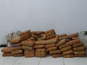 Kepergok TNI Bawa 100 Bal Ganja, Mahasiswa di Aceh Lompat ke Jurang