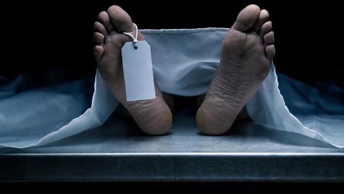 Geger Temuan Mayat di Medan Ternyata Cadaver, Apa Sih Itu? Ini Kata Dokter Anatomi