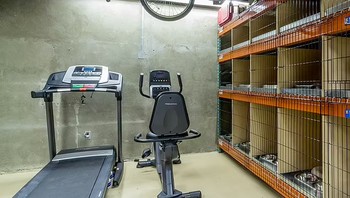 Area gym. Foto: Dailymail