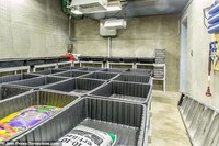 Bunker Kiamat