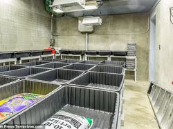 Intip Isi Bunker Kiamat Seharga Rp 851 Juta