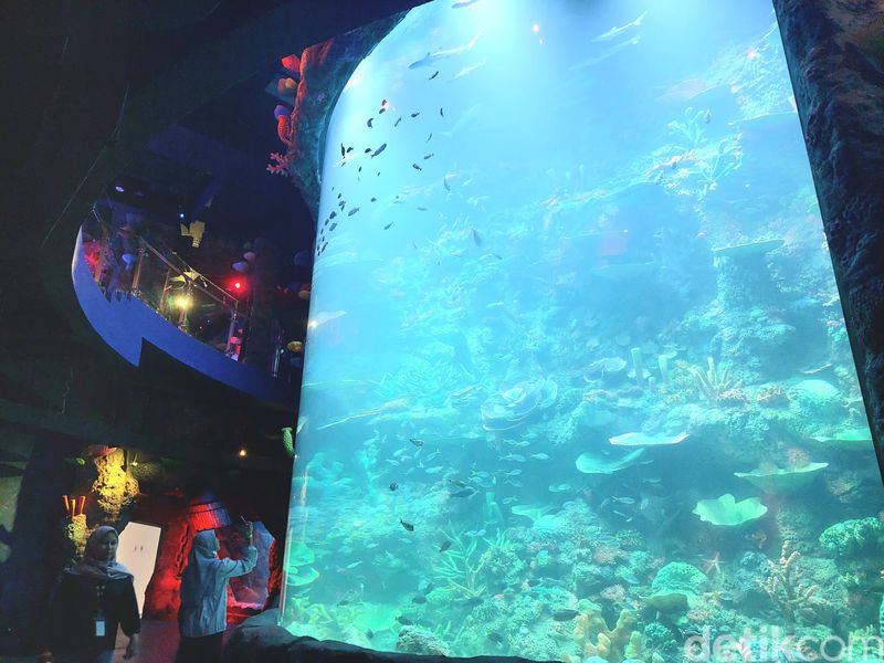 BXsea di dalam Bintaro Jaya Exchange Mall tahap 2