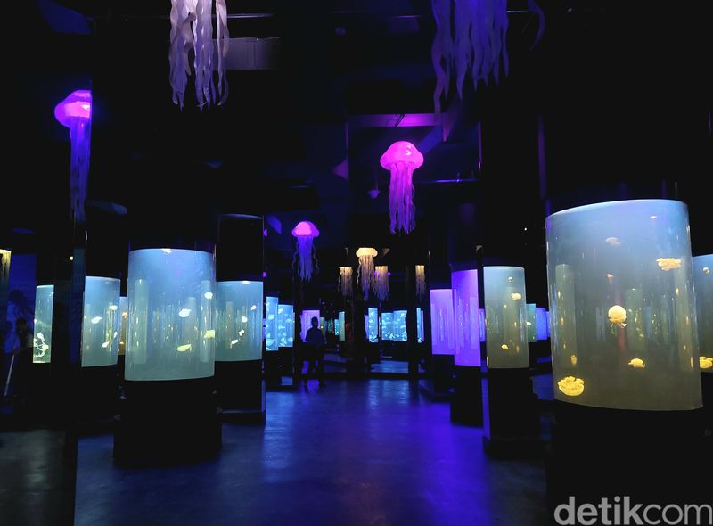 BXsea di dalam Bintaro Jaya Exchange Mall tahap 2