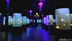 Foto: BXsea, Akuarium Indoor di Tangsel dengan Tunnel Terbesar di Asia Tenggara