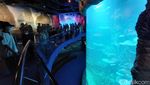 Foto: BXsea, Akuarium Indoor di Tangsel dengan Tunnel Terbesar di Asia Tenggara
