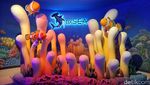 Foto: BXsea, Akuarium Indoor di Tangsel dengan Tunnel Terbesar di Asia Tenggara