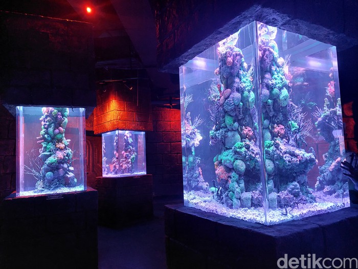 BXsea di dalam Bintaro Jaya Exchange Mall tahap 2