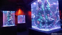 BXsea memiliki luas area pengunjung sekitar 2.500 meter persegi dan mampu menampung sampai 1.000 orang dalam satu waktu. Sedangan secara keseluruhan 7.345 meter persegi dengan kapasitas 3,5 juta liter air