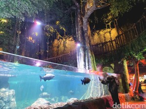 Menjajal Akuarium Indoor Pertama di Tangerang Selatan, Ada Apa Saja?