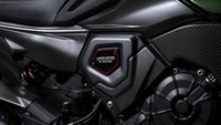 Diavel for Bentley, seperti semua koleksi Ducati, dikirimkan dengan sertifikat keaslian, kursi penumpang, dan penutup sepeda motor. Nama model dan nomor produksi unit terukir pada pelat yang disisipkan pada penutup kepala vertikal serat karbon di sisi kanan sepeda motor.Foto: Ducati
