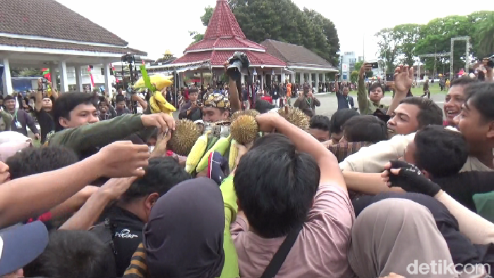 hut kabupaten lumajang dengan berebut gunungan tumpeng