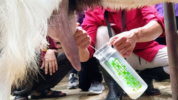 Menjelajahi Perbukitan Menoreh naik jeep, bisa minum susu kambing dan makan durian