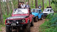 Rombongan Jeep akan membawa traveler ke beberapa destinasi wisata lainnya yakni Hutan Pinus Kalilo. Kalian akan diajak naik jeep diajak membelah hutan pinus dengan medan yang cukup ekstrem, lalu berhenti sejenak untuk menyeruput Kopi Seplawan. (dok. GenPI Purworejo)