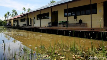 Kehadiran jaringan yang disediakan oleh Badan Aksesibilitas Telekomunikasi dan Informasi (Bakti) Kominfo cukup membantu para pelajar dan guru yang ada dikawasan yang dikelilingi lahan gambut ini agar melek informasi.