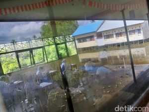 Kehadiran Internet Mudahkan Pelajar-Guru di MTs Negeri 3 Banjar