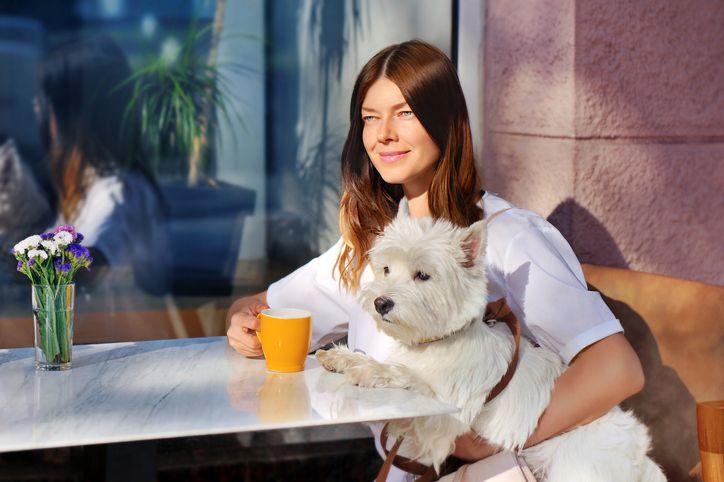 Restoran berkonsep pet friendly