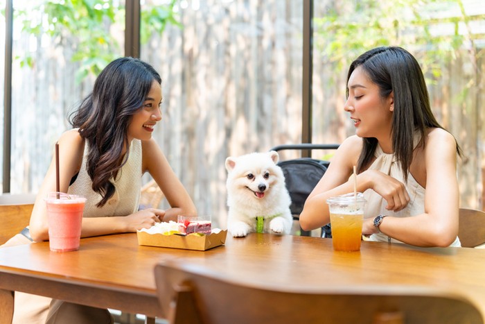 Restoran berkonsep pet friendly
