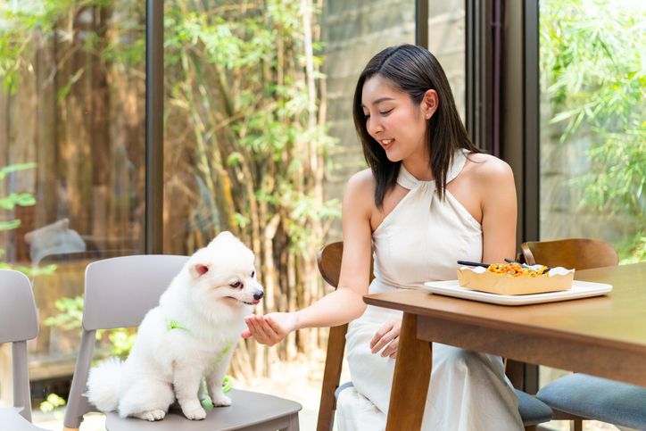 Restoran berkonsep pet friendly