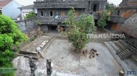 Ada lapangan luas di depan rumah Ki Joko Bodo. Lapangan ini suka dipakai untuk berkumpul, sempat digunakan untuk bermain teater sampai tempat pengajian. Foto: YouTube/Trans7 Official