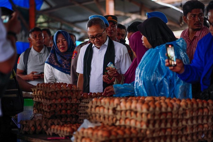 Tim Media Zulhas