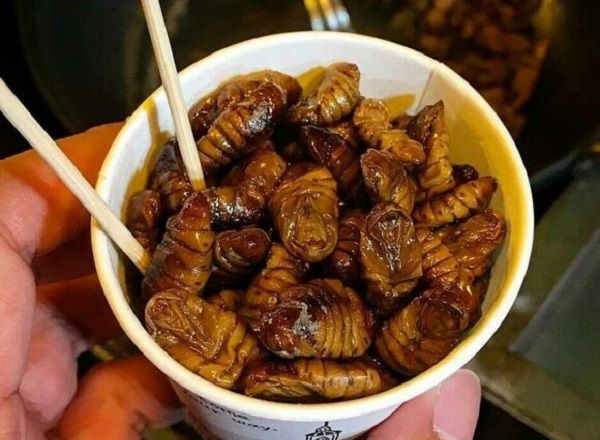 7 Daging Hewan Paling Ekstrem yang Dikonsumsi dan Disukai Banyak Orang