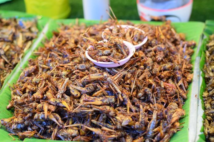 7 Daging Hewan Paling Ekstrem yang Dikonsumsi dan Disukai Banyak Orang