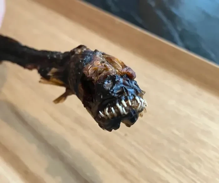 Camilan Belut di Jepang Ini Tampilannya Seram Mirip Alien