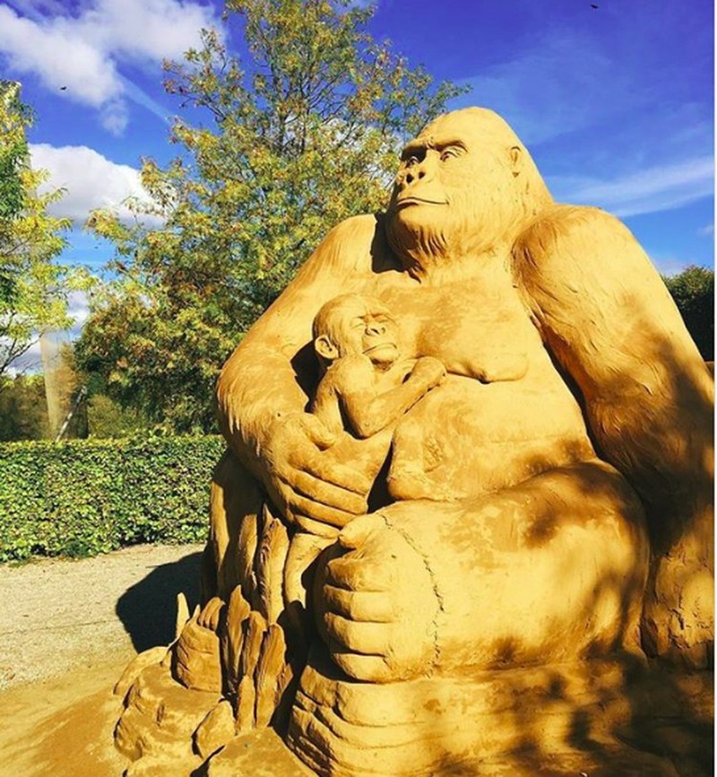 Cuma Modal Pasir Bisa Bikin Karya Seni Super Keren