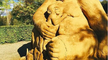 Anak gorila yang memeluk sang ibu. (Foto: Brightside)