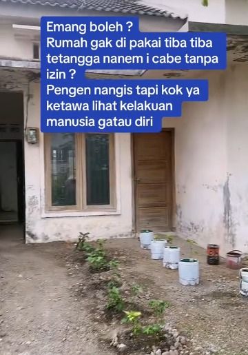 Ditinggal Sebulan, Rumah Ini Disulap Jadi Kebun Cabai oleh Tetangga