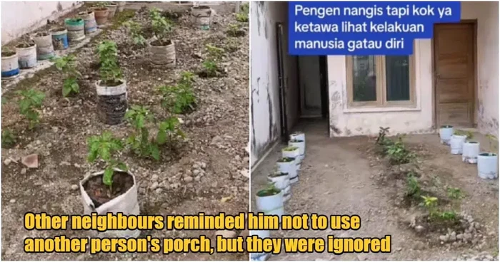 Ditinggal Sebulan, Rumah Ini Disulap Jadi Kebun Cabai oleh Tetangga
