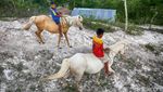 Ladang Cuan Anak Penunggang Kuda di Bukit Warinding