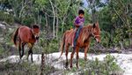 Ladang Cuan Anak Penunggang Kuda di Bukit Warinding