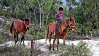 Meskipun masih terdengar asing, tapi tak sedikit juga orang yang pernah melihat foto-foto dari Bukit Warinding Sumba ini di sosial media khususnya instagram.