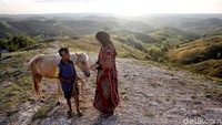 Bukit yang satu ini sangat terkenal di Sumba karena panoramanya yang memukau dan cantik sekali. Bukit Warinding juga pernah menjadi tempat foto prewedding artis Maudy Ayunda bersama pasangannya Jesse Choi.
