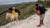 Wisatawan yang ingin menggunakan kuda untuk berfoto, anak-anak ini menawarkan dengan harga Rp 50.000 dan untuk tenun khas Sumba disewakan Rp 20 ribu-Rp 50 ribu. 