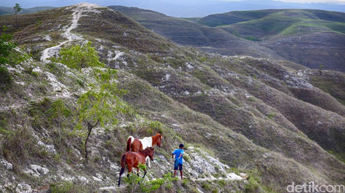Eksotisme Bukit Warinding. Sumba, NTT tak bisa dipungkiri lagi oleh wisatawan lokal ataupun mancanegara. Tak heran hal itu dimanfaatkan baik oleh warga sekitar khususnya anak-anak untuk mencari cuan.