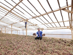 Serap Aspirasi Petani Bawang, Ibas Ajak Pilih yang Dengar Suara Rakyat
