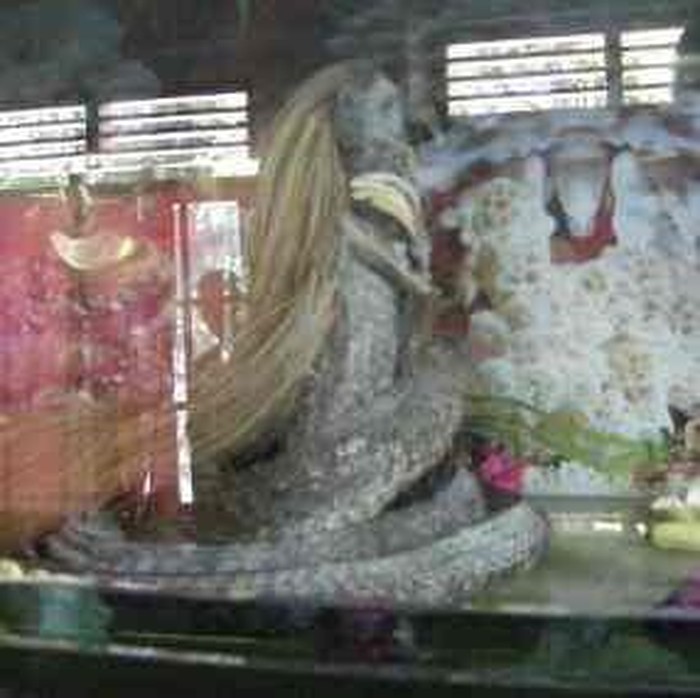 Zamroji (55) merupakan warga Desa Sukosewu, Kecamatan Gandusari, Kabupaten Blitar. Ia membuat geger dengan mengaku menemukan ular berkepala wanita pada pertengahan 2010.