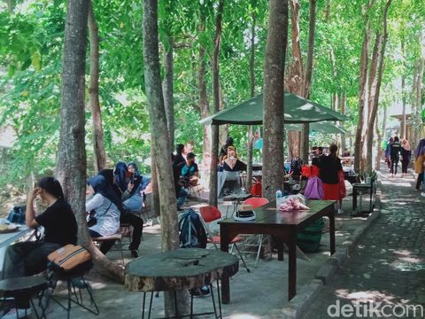 Umbul Besuki di Desa Ponggok, Kecamatan Polanharjo, Klaten, Sabtu (16/12/2023).