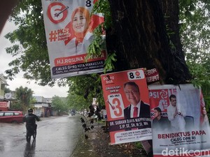 Kucing-kucingan Satpol PP Makassar Tertibkan Baliho Caleg Dipaku di Pohon