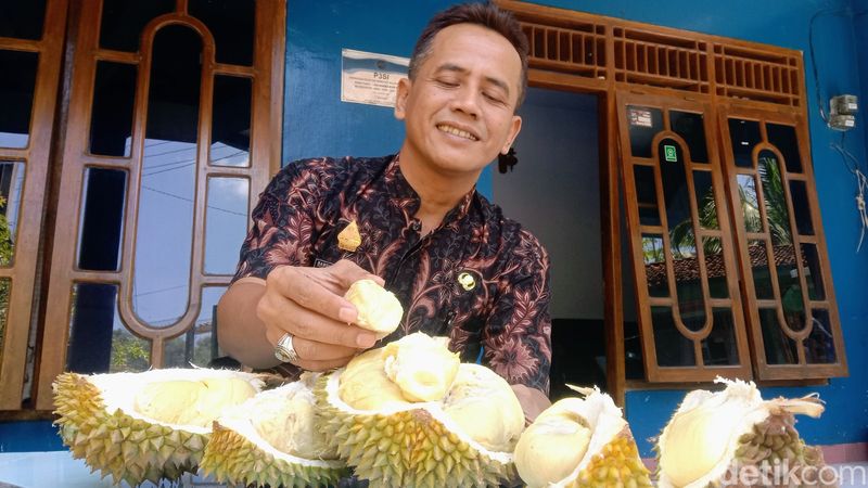 Durian 'Basar' dari Hulosubo, Kecamatan Kaligesing, Purworejo.  Foto diambil Minggu (17/12/2023).