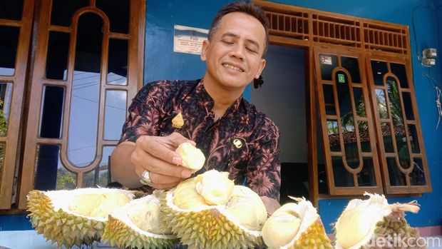 Durian 'Basar' dari Hulosubo, Kecamatan Kaligesing, Purworejo. Foto diambil Minggu (17/12/2023).
