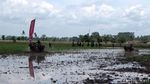 Serunya Karapan Kerbau di Lumajang