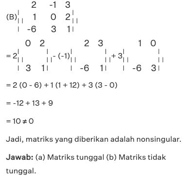 Penyelesaian cara menentukan matriks singular atau tidak.