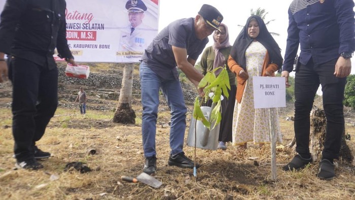 Pj Bupati Bone Andi Islamuddin menanam sukun.