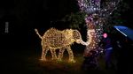 Kebun Binatang Johannerburg Bersolek Jelang Natal